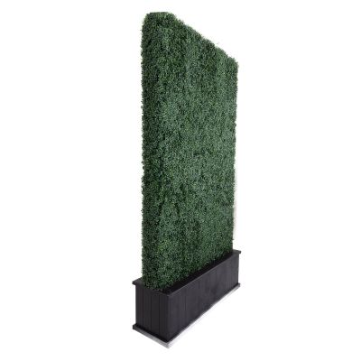 Image two of Garden Double Sided Boxwood Hedge